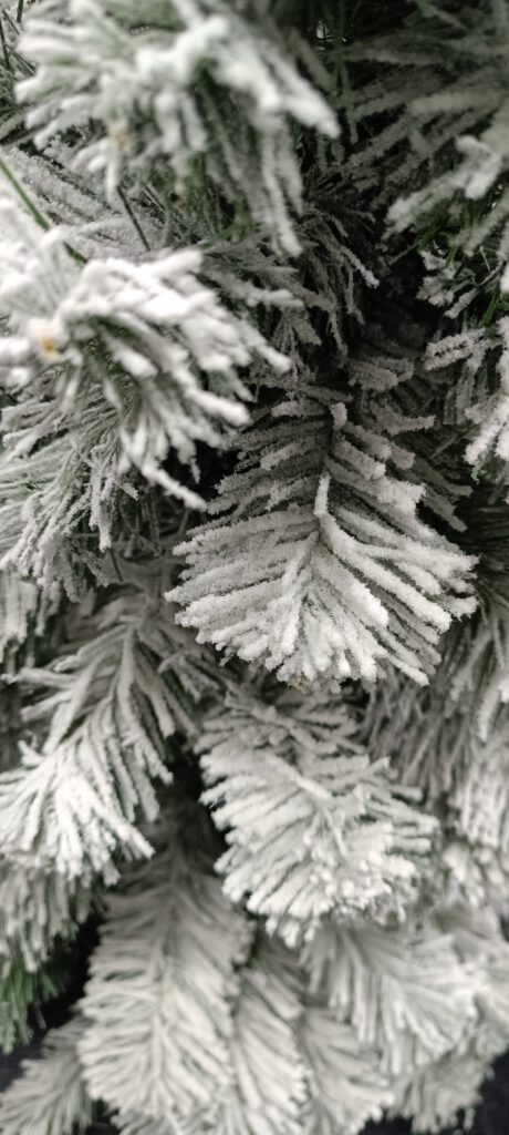 Choinka mała śnieżona w donicy